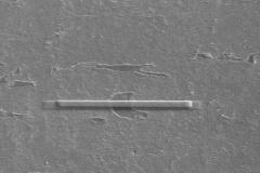 1-pt-coating_5485885109_o-1