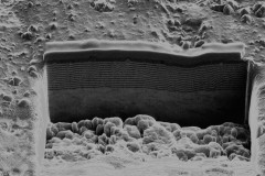 1382_0041_5056302349_o-1