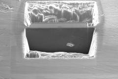 2-trench_5485883755_o-1