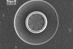 2369_012_15253667821_o