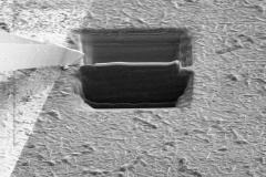 3-lifting-out_5485881591_o-1