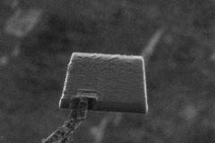 4-moving_5485884203_o-1