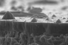 a-sem-image-of-a-cross-section-of-a-multi-layer-coating-pvd_5056360945_o