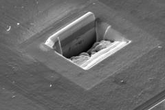 a-sem-image-of-a-fib-cross-section_5056917684_o-1