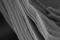 a-sem-image-of-a-graphene-layer_5056918196_o-1