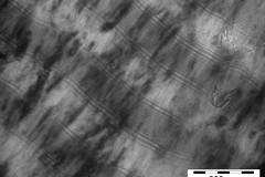 a-tem-image-of-a-nanostructured-tin-tial-coating_5056917730_o