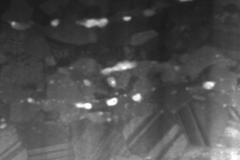 alumina-dispersed-after-a-cryomilling-procedure_7176177524_o-2