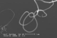 carbon-nanotubes-multiwall_6982139413_o