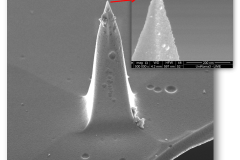 evaluation-of-an-afm-tip-radius-with-a-feg-image_6836072380_o-1