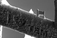 lamella-tem_5178325836_o-1