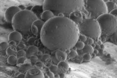 microsfere-polimeriche_6955390581_o-1