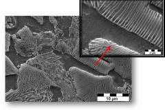 perlite_7176232254_o