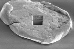 powder-metallurgy_7164369364_o