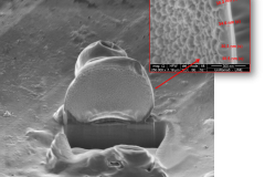 sezione-fib-di-una-microsfera-polimerica_6955386239_o
