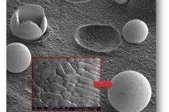 silver-alloy-microspheres-employed-in-a-laser-melting-process_7419507530_o