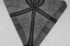 tio-particle-tem_7050572007_o-1