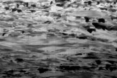 x-section-of-a-rolled-au-ag-alloy_8005603515_o