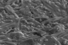 ybco-coating_6809324942_o